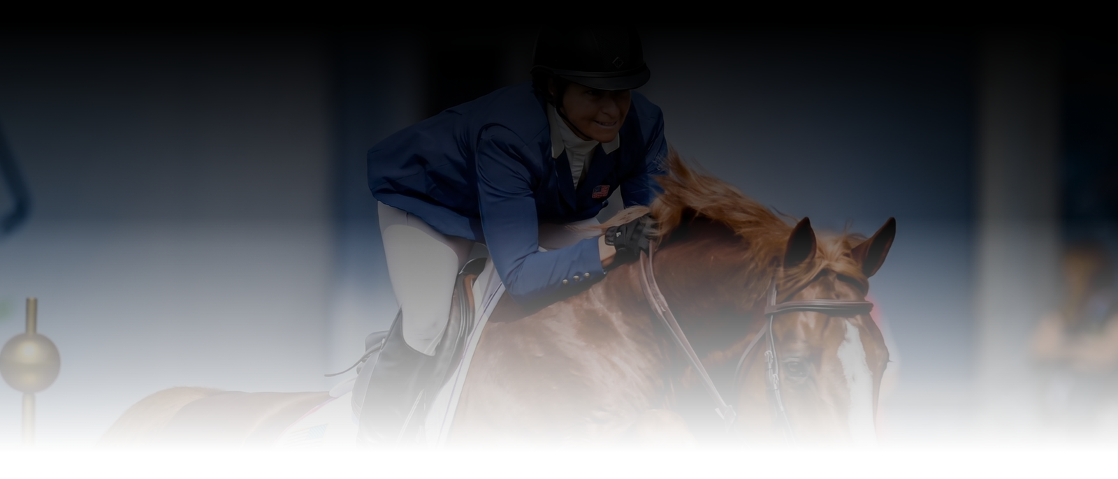 Equestrian rider in competition